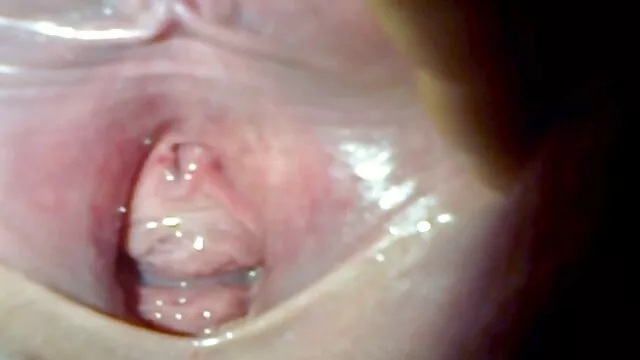 گابی و نستیا لینک کانال های سکسی در تلگرام - فعالیت انسانی